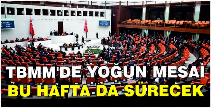 TBMM'de yoğun mesai bu hafta da sürecek