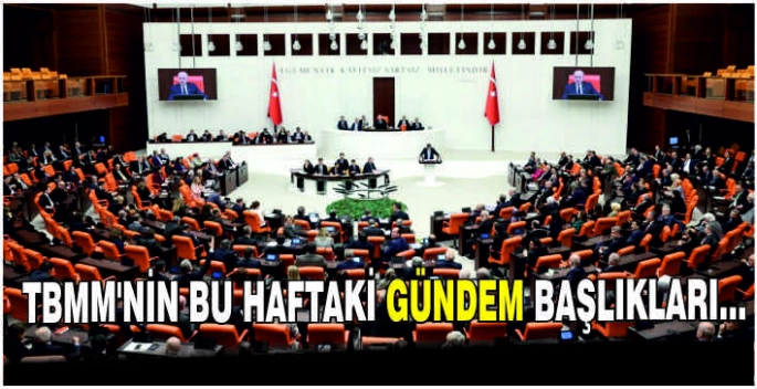TBMM'nin bu haftaki gündem başlıkları...