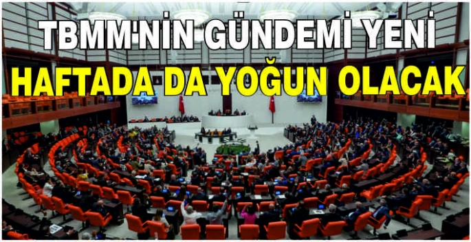 TBMM'nin gündemi yeni haftada da yoğun olacak