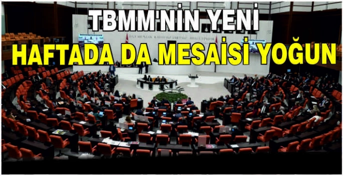 TBMM'nin yeni haftada da mesaisi yoğun