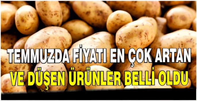Temmuzda fiyatı en çok artan ve düşen ürünler belli oldu