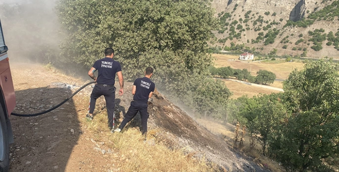Tunceli'de ormanlık alanda çıkan yangın söndürüldü