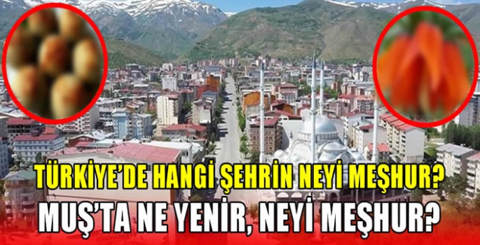 Türkiye'de hangi şehrin neyi meşhur? Muş’ta Ne Yenir, Neyi Meşhur?