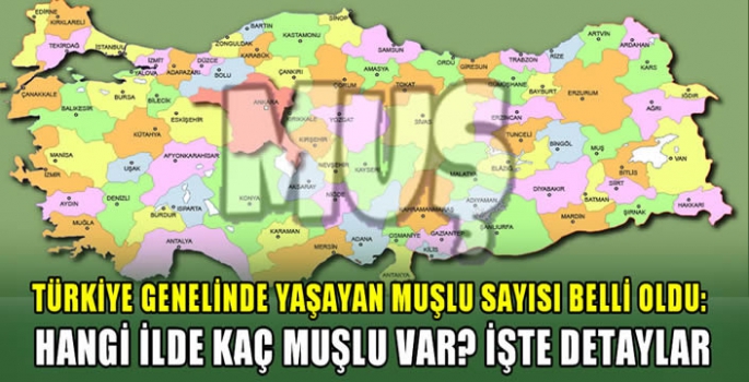 Türkiye genelinde yaşayan Muşlu sayısı belli oldu: Hangi ilde kaç Muşlu var? İşte detaylar…