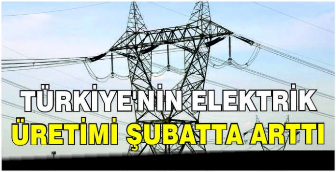 Türkiye'nin elektrik üretimi şubatta arttı