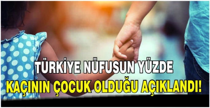 Türkiye nüfusun yüzde kaçının çocuk olduğu açıklandı!