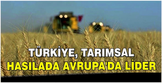 Türkiye, tarımsal hasılada Avrupa'da lider