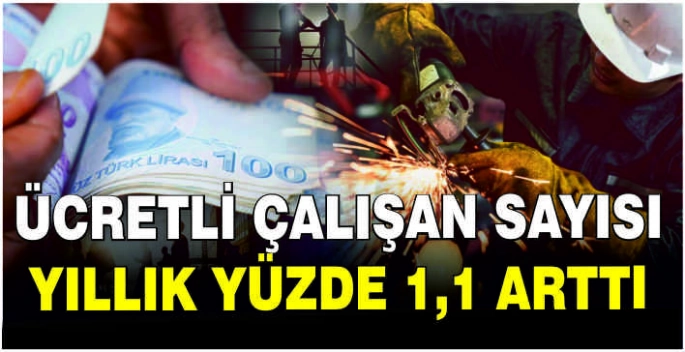 Ücretli çalışan sayısı yıllık yüzde 1,1 arttı