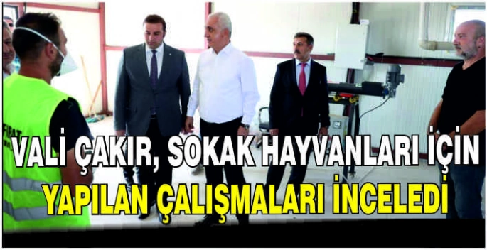 Vali Çakır, sokak hayvanları için yapılan çalışmaları inceledi