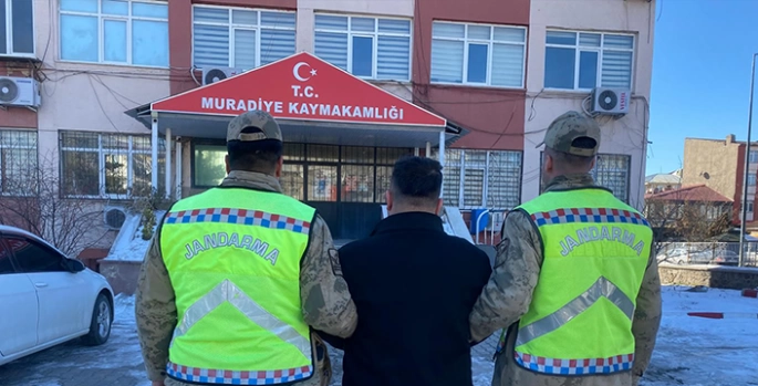 Van'da 10 düzensiz göçmen yakalandı