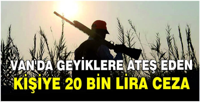 Van'da geyiklere ateş eden kişiye 20 bin lira ceza