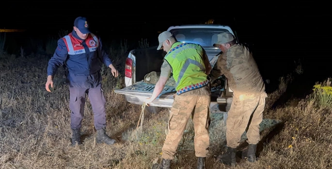 Van'da kaçak avlanan 1 ton 500 kilogram inci kefali suya geri bırakıldı