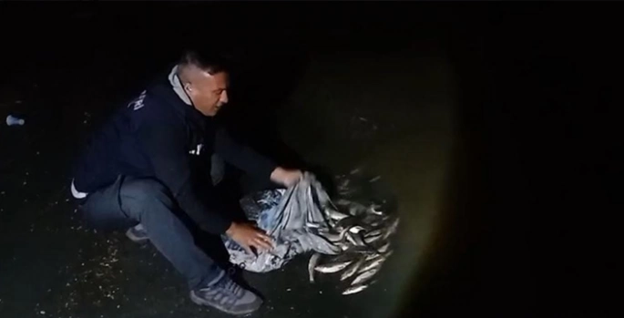 Van'da kaçak avlanan 50 kilogram inci kefali suya geri bırakıldı