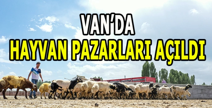 Van'da karantina tedbirlerinin kaldırılmasıyla hayvan pazarı yeniden açıldı