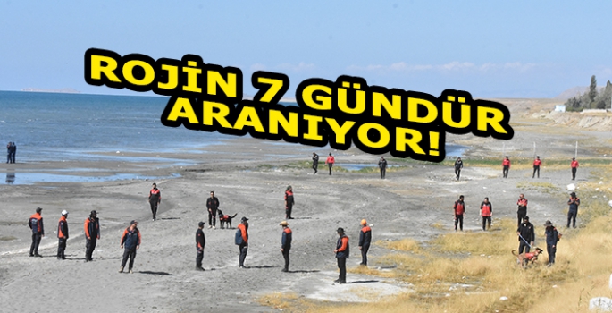 Van'da kaybolan üniversite öğrencisini arama çalışmaları yedinci gününde