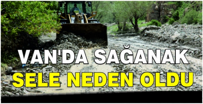 Van'da sağanak sele neden oldu