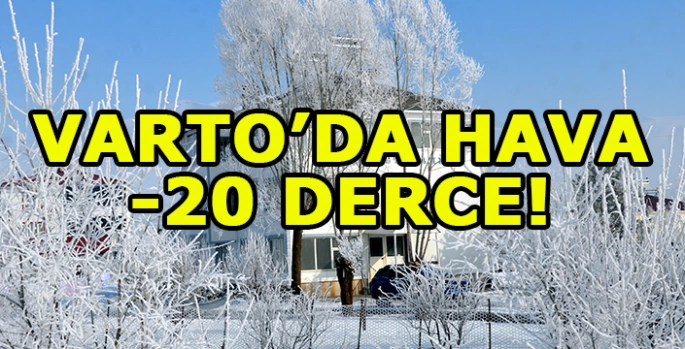Varto’da soğuk hava esareti: Yaşamı olumsuz etkiliyor!