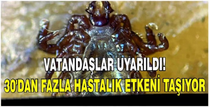 Vatandaşlar uyarıldı! 30'dan fazla hastalık etkeni taşıyor