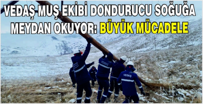 VEDAŞ Muş Ekibi dondurucu soğuğa meydan okuyor: Büyük mücadele