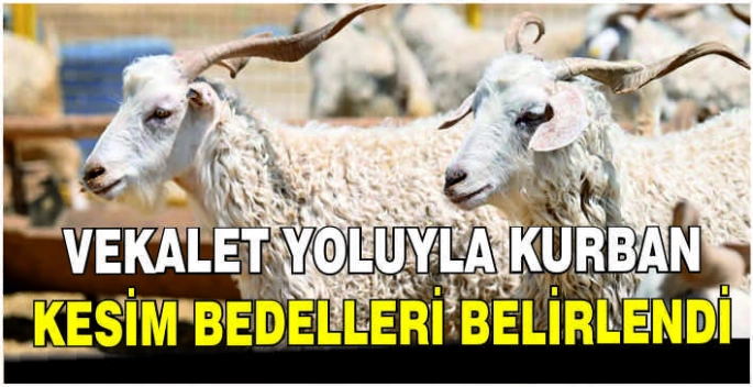 Vekalet yoluyla kurban kesim bedelleri belirlendi