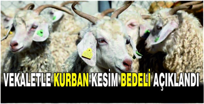 Vekaletle kurban kesim bedeli açıklandı