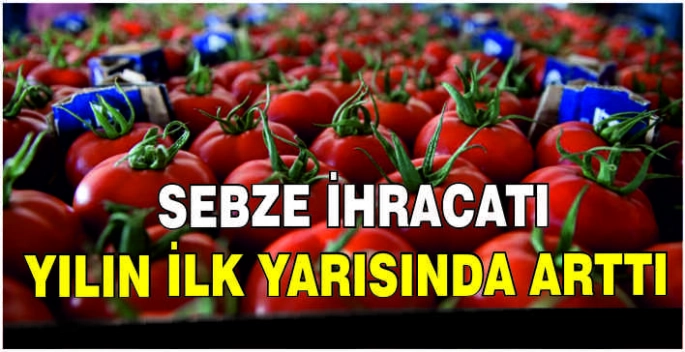 Yaş sebze ihracatı yılın ilk yarısında arttı