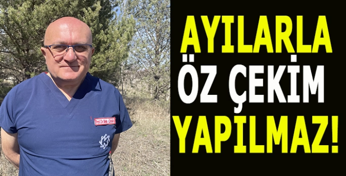 Yerleşim yerlerine inen bozayılara öz çekim için yaklaşmayın!