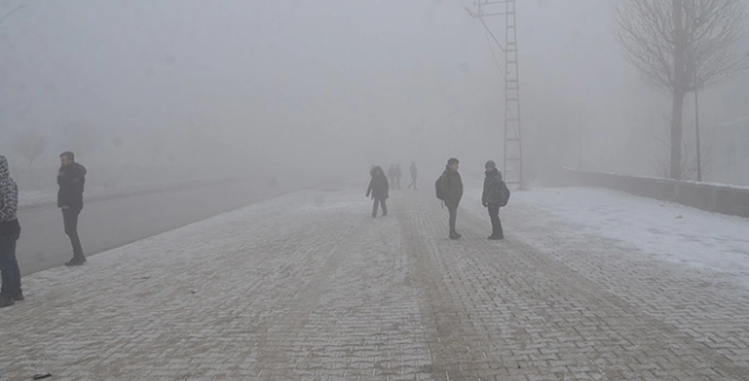 Yüksekova'da soğuk hava ve yoğun sis etkili oldu