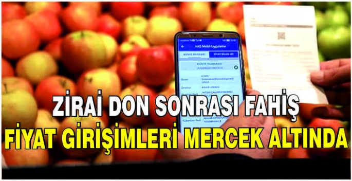 Zirai don sonrası fahiş fiyat girişimleri mercek altında