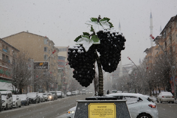 Muş